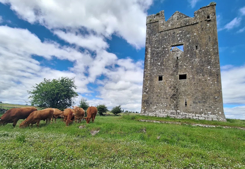 Isert Kelly Castle, Ireland